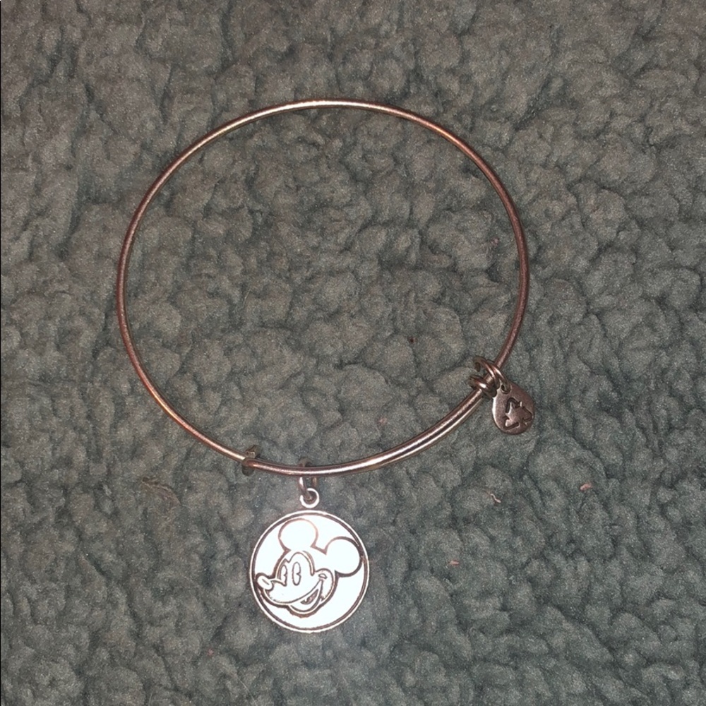 Silver Alex and Ani